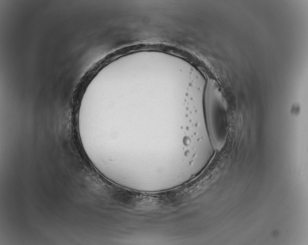 X0000116261263201001110946