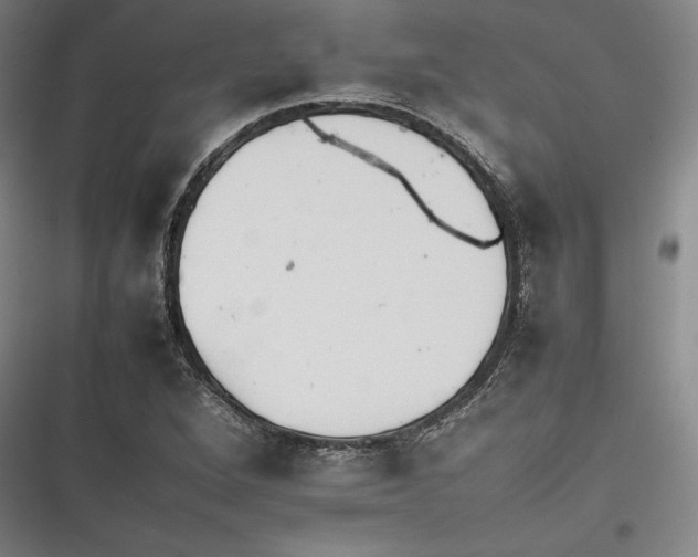X0000116261264201001110946