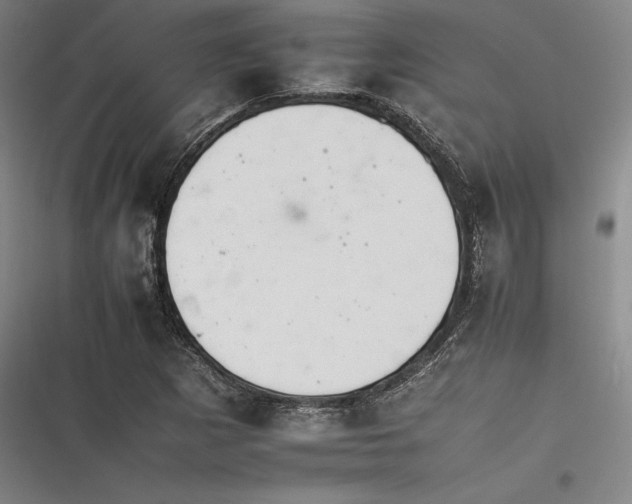 X0000116261265201001110946