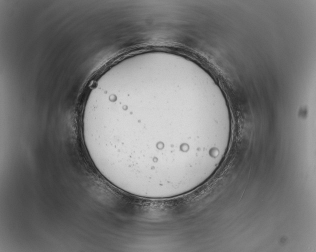 X0000116261266201001110946
