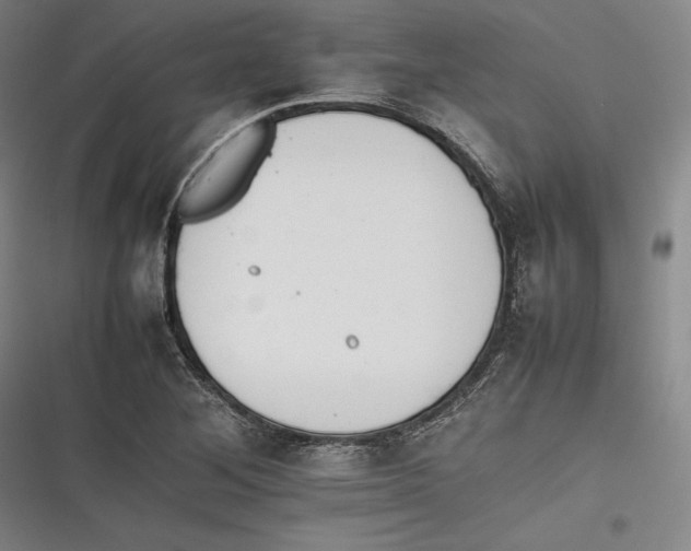 X0000116261268201001110946