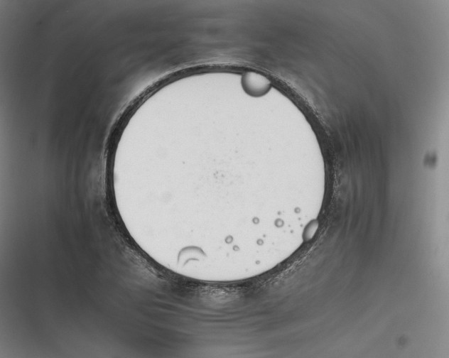 X0000116261270201001110946