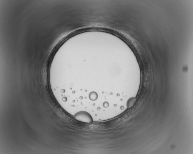 X0000116261271201001110946
