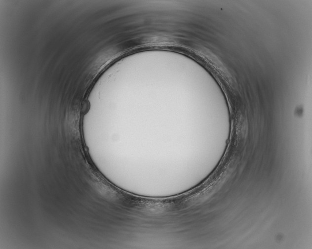 X0000116261273201001110946