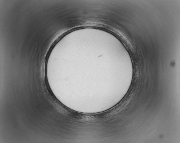 X0000116261275201001110946