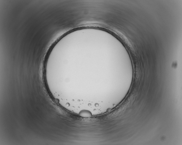 X0000116261277201001110946