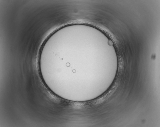 X0000116261278201001110946