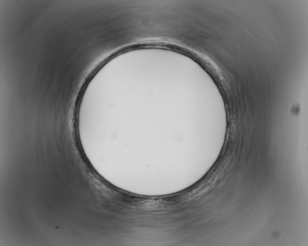 X0000116261279201001110946