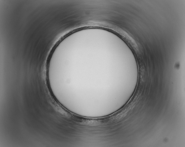 X0000116261280201001110946