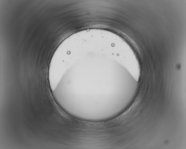 X0000116261281201001110946