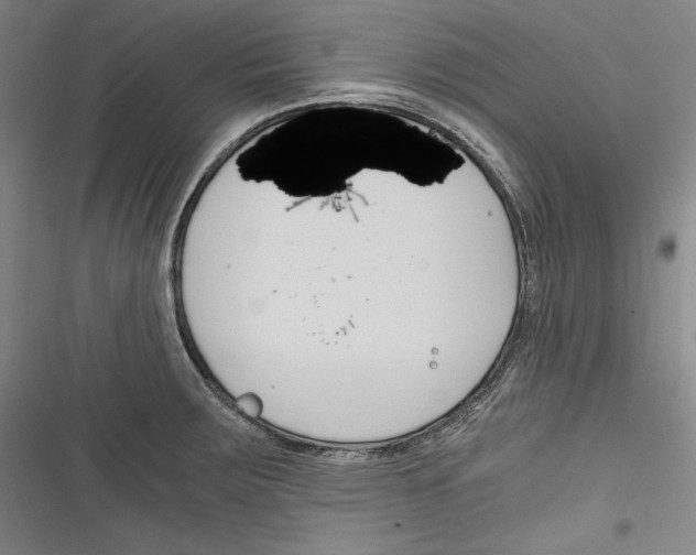 X0000116261283201001110946