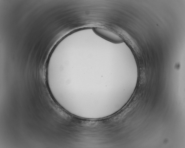 X0000116261284201001110946