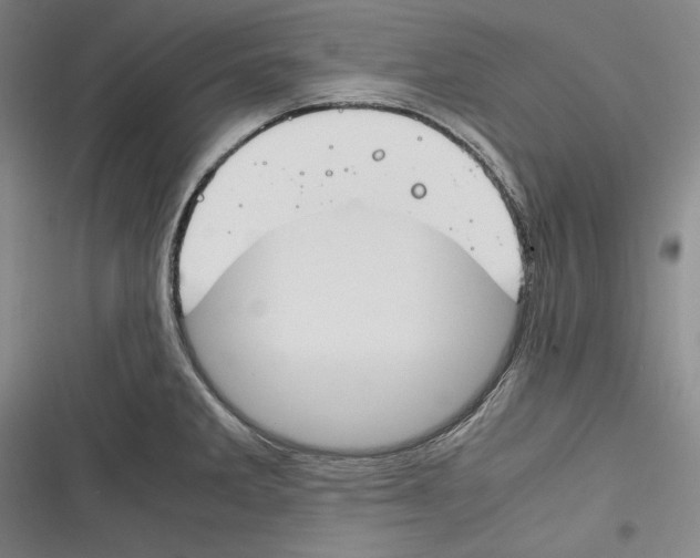 X0000116261285201001110946