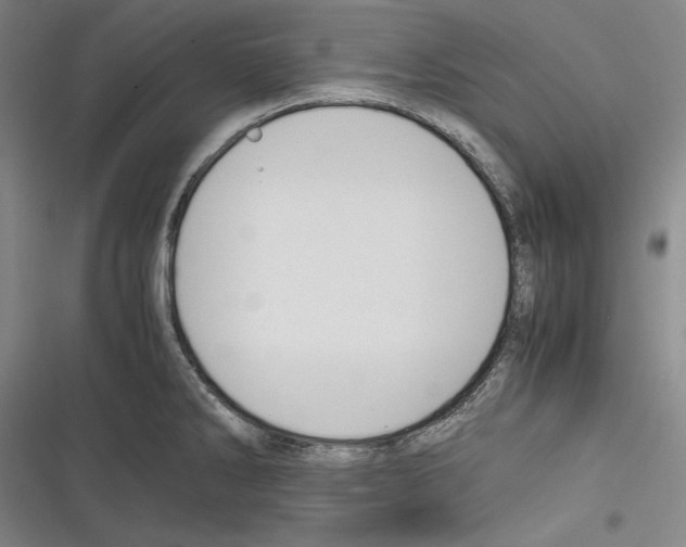 X0000116261286201001110946