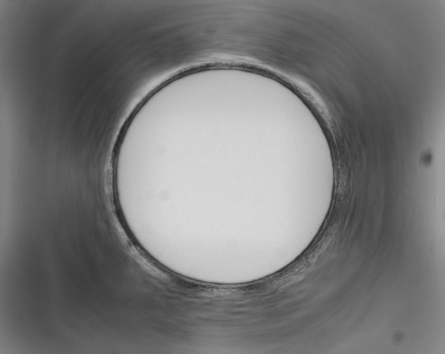 X0000116261287201001110946