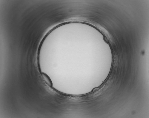 X0000116261288201001110946