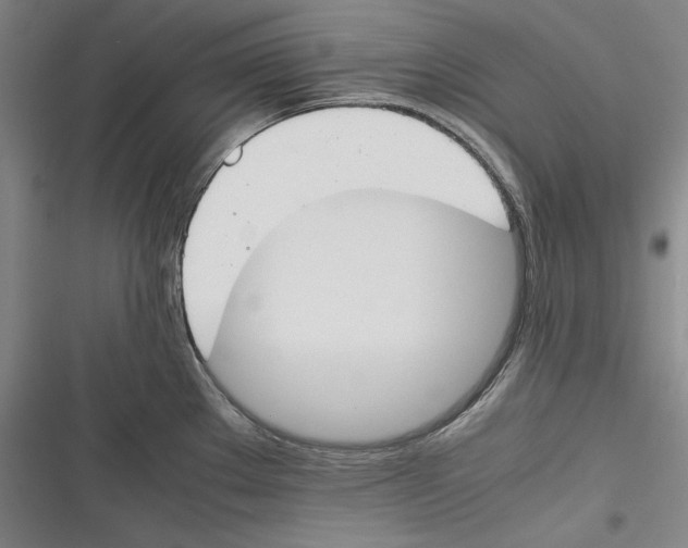 X0000116261289201001110946