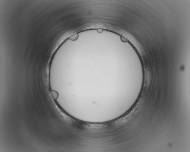 X0000116261290201001110946