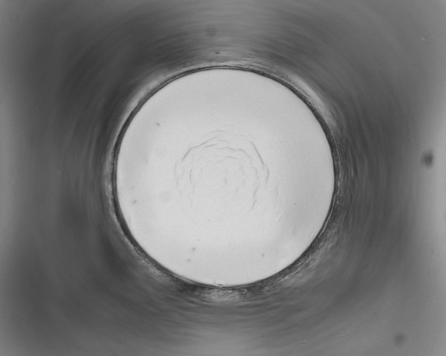 X0000116261291201001110946
