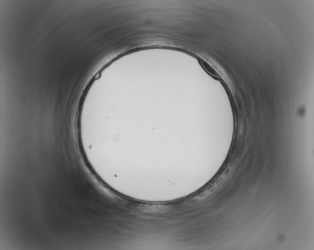 X0000116261293201001110945