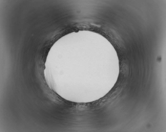 X0000116261297201001110945