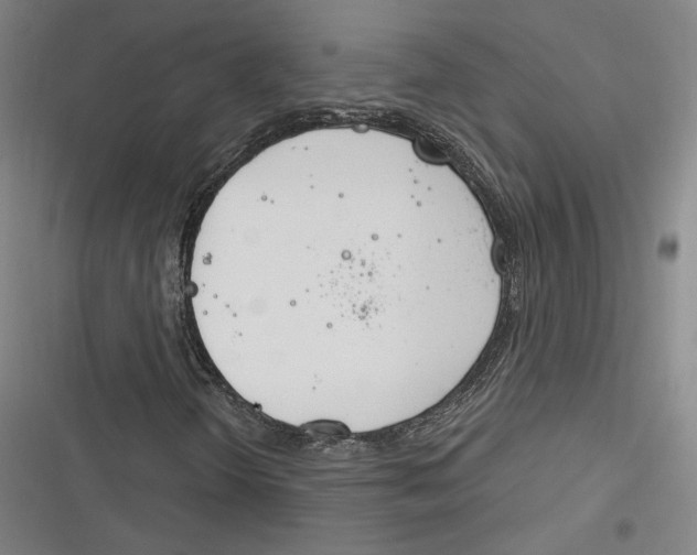 X0000116261298201001110945