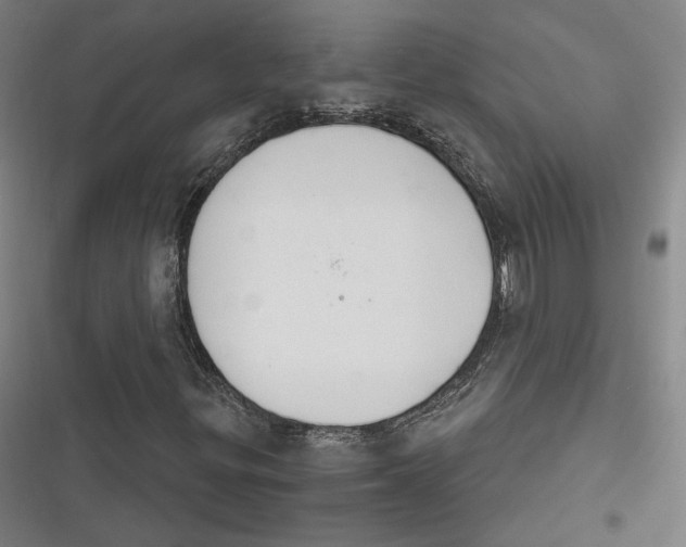 X0000116261299201001110945
