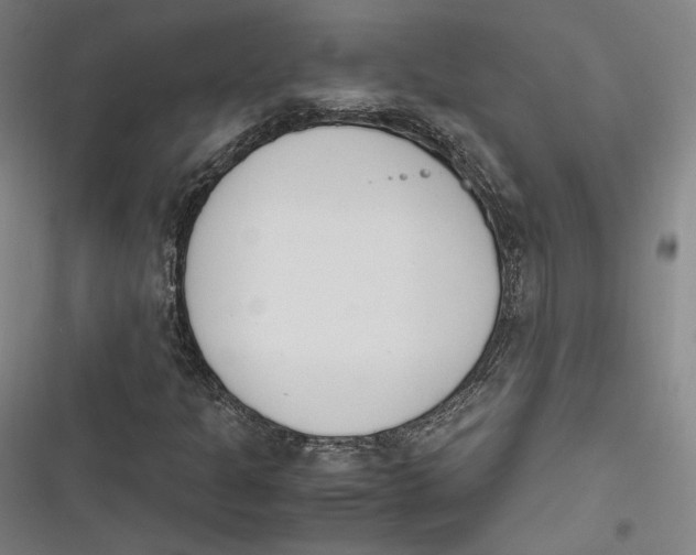 X0000116261301201001110945