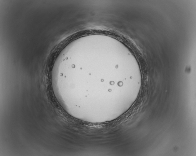 X0000116261303201001110945