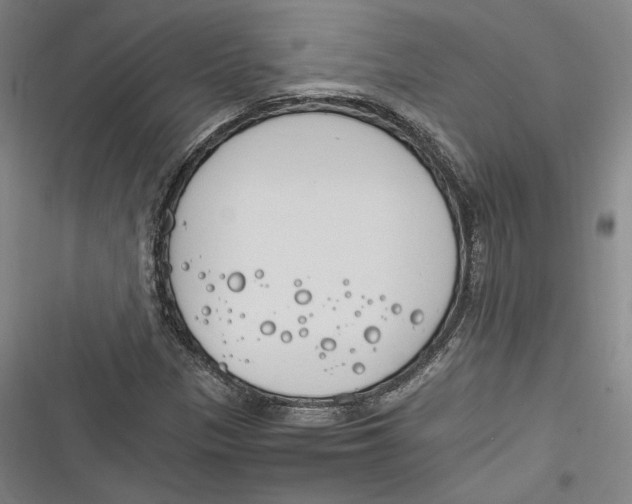 X0000116261305201001110945