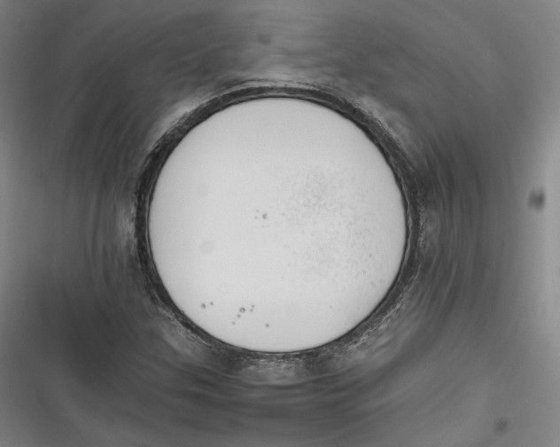 X0000116261307201001110945