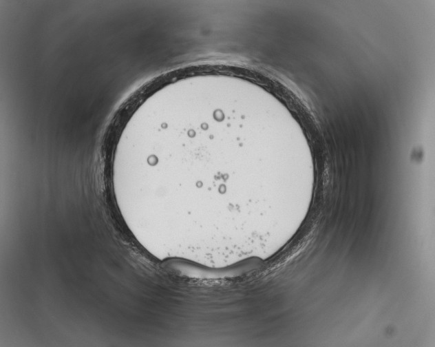 X0000116261310201001110945