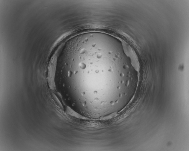 X0000116261314201001110945