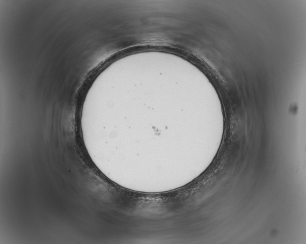 X0000116261315201001110945