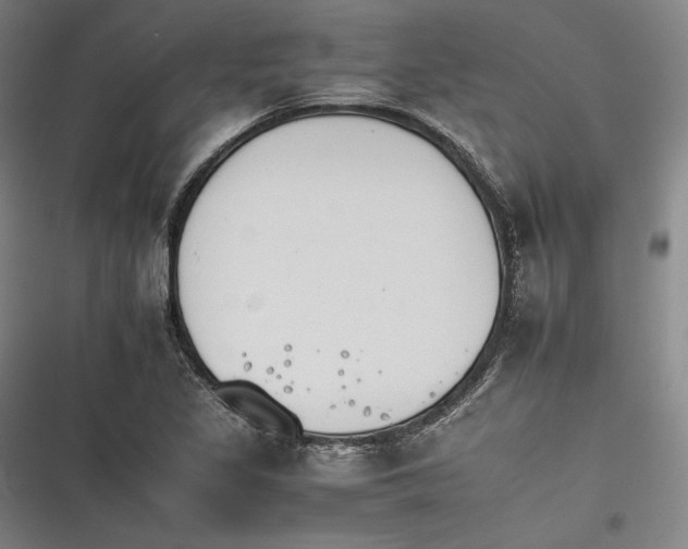X0000116261317201001110945