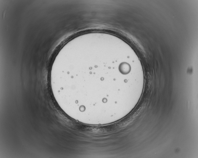 X0000116261318201001110945
