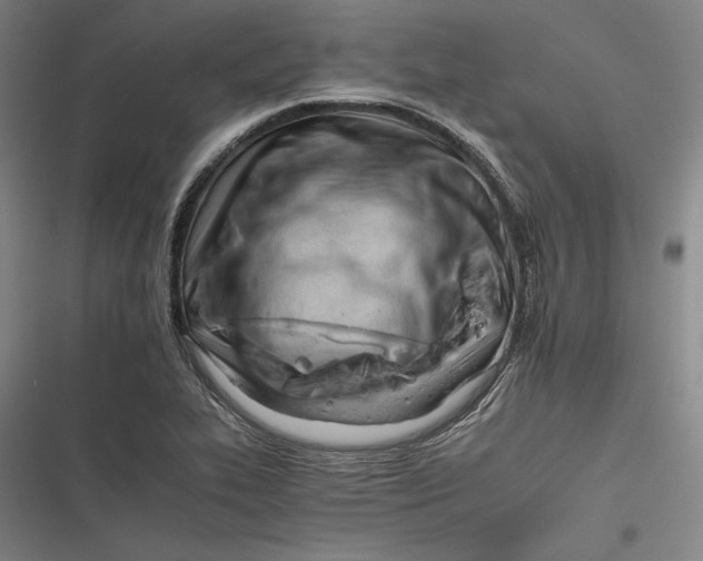 X0000116261319201001110945