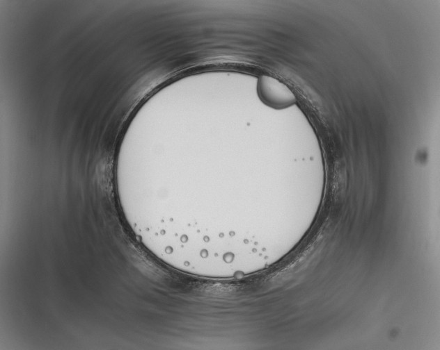 X0000116261321201001110945