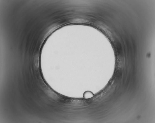 X0000116261322201001110945