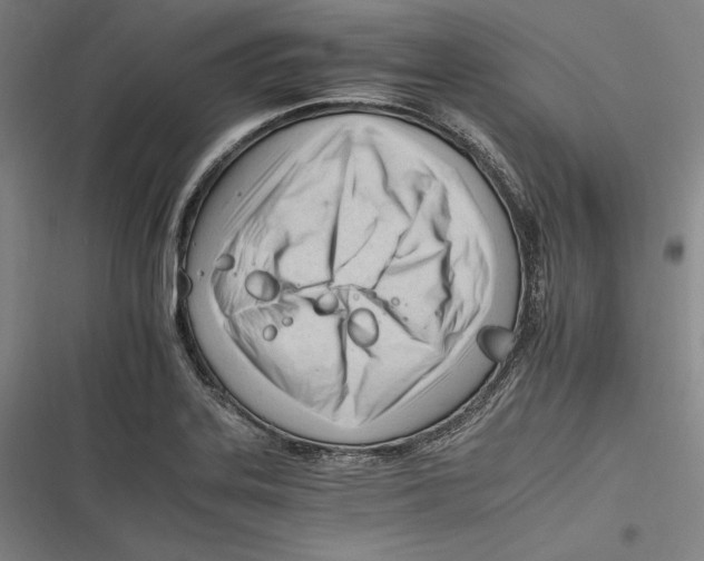 X0000116261323201001110945