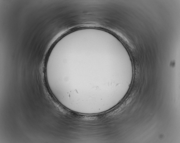 X0000116261325201001110945