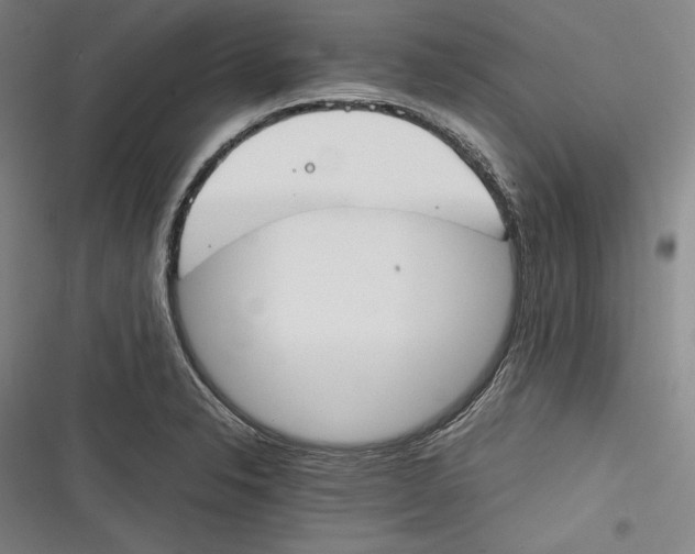 X0000116261326201001110945