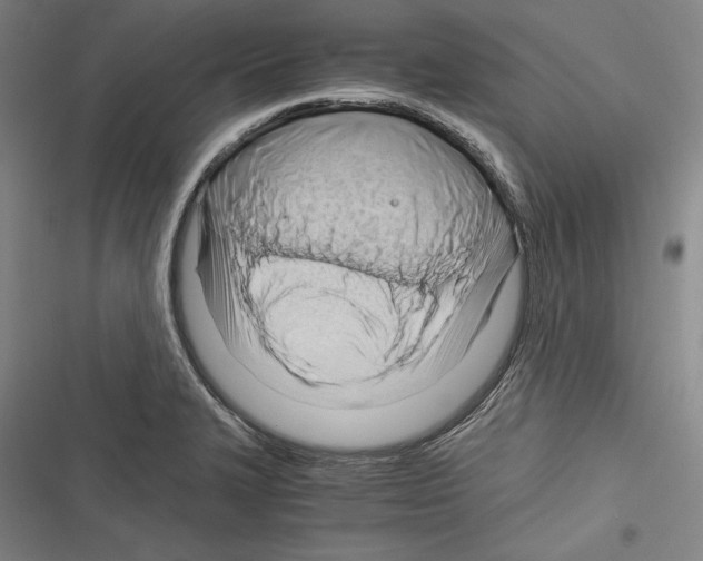 X0000116261327201001110945