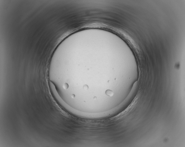 X0000116261329201001110945
