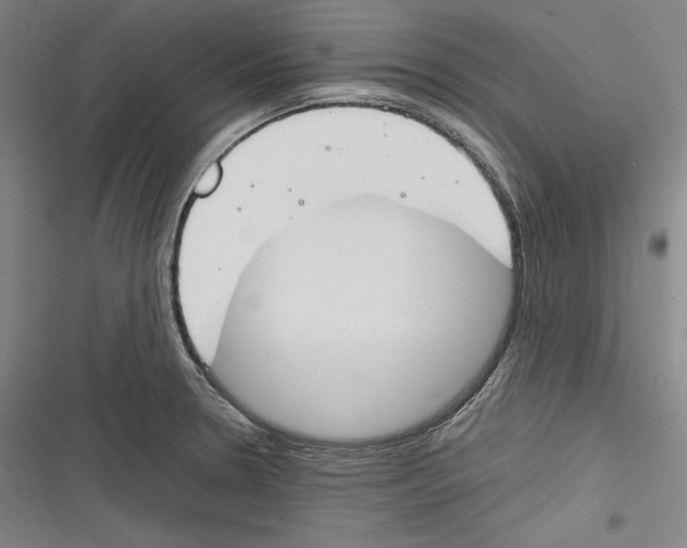 X0000116261330201001110945