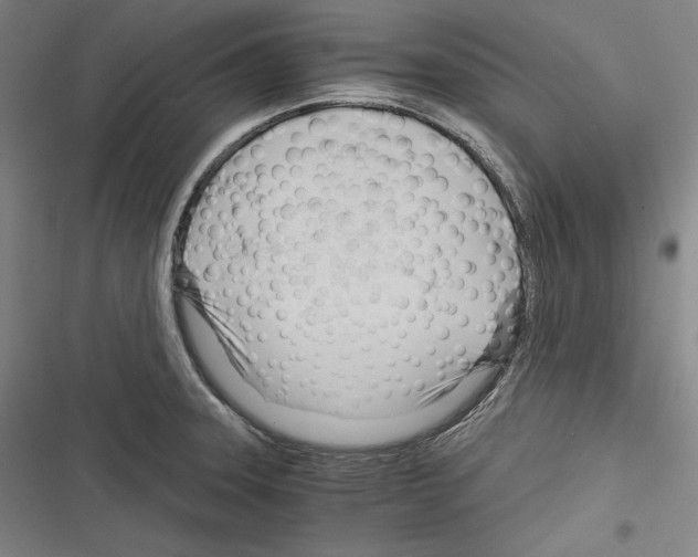 X0000116261331201001110945