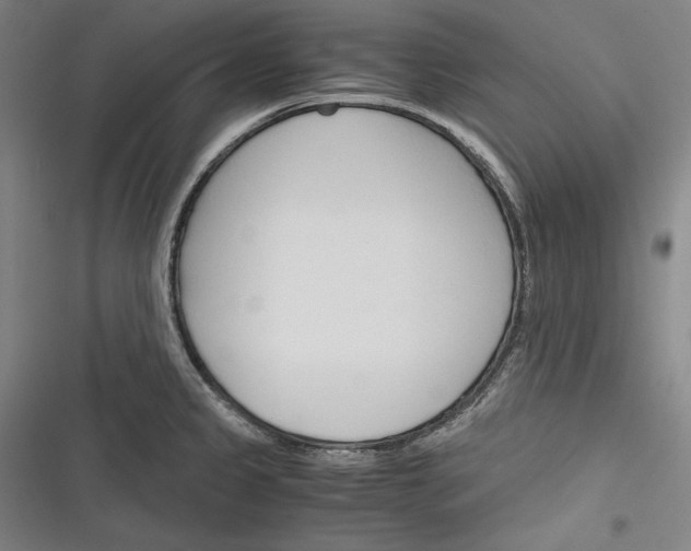 X0000116261333201001110945