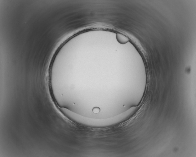 X0000116261335201001110945