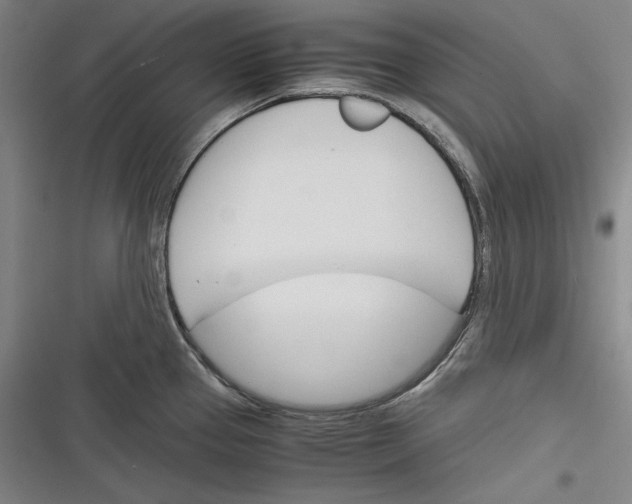 X0000116261337201001110945