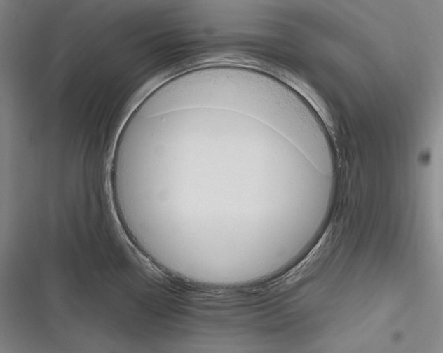 X0000116261338201001110945